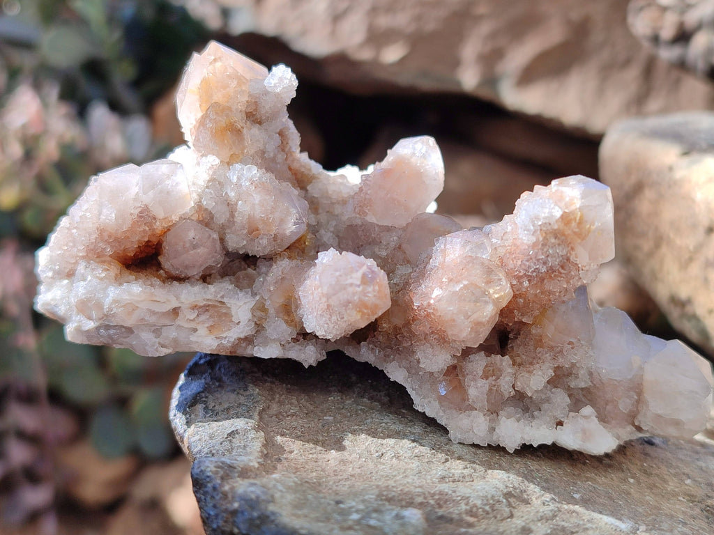 Natural Golden Limonite Coated Spirit Quartz Clusters x 6 From Boekenhouthoek, South Africa - Toprock Gemstones and Minerals 