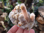 Natural Golden Limonite Coated Spirit Quartz Clusters x 6 From Boekenhouthoek, South Africa - Toprock Gemstones and Minerals 