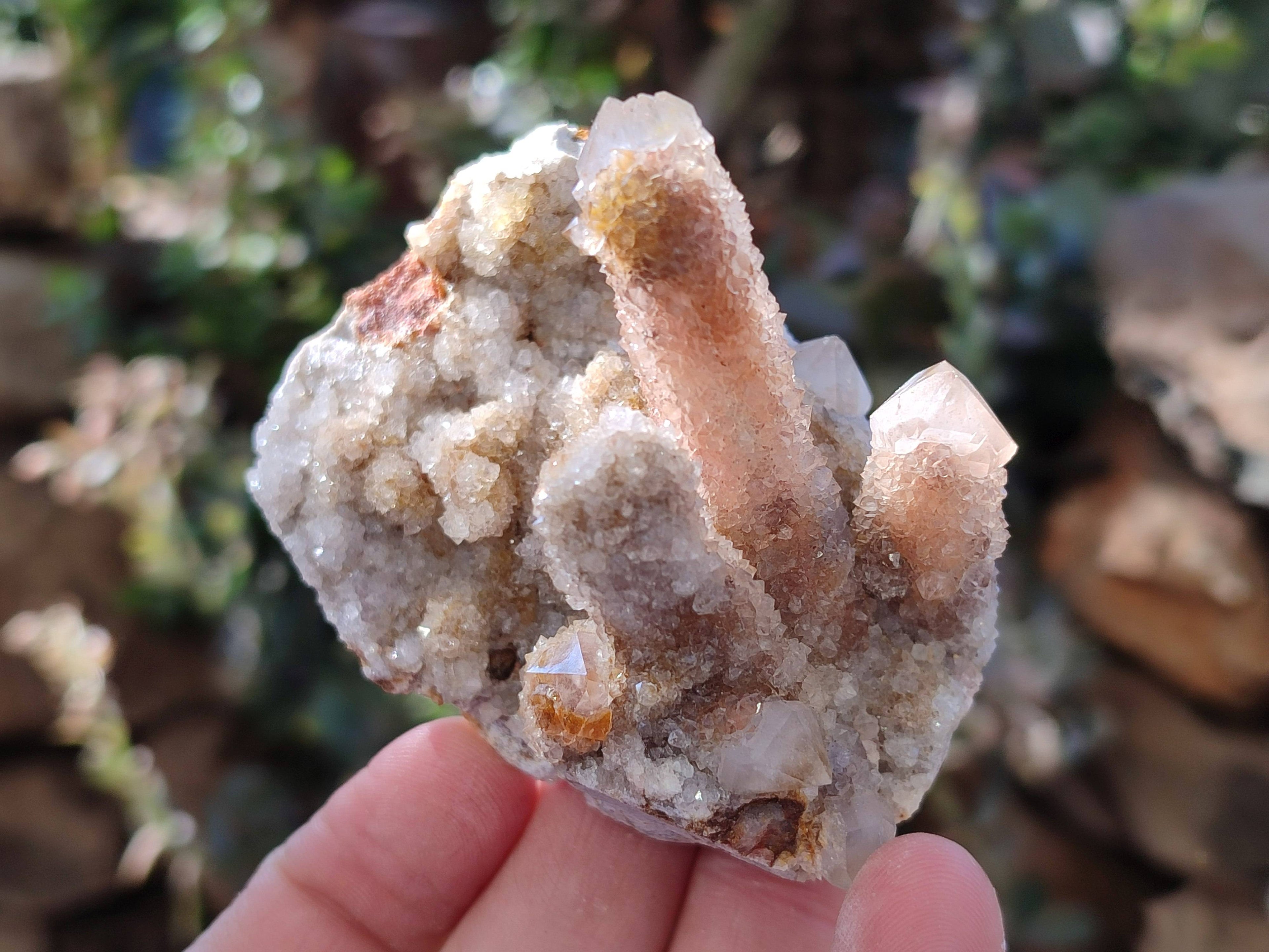 Natural Golden Limonite Coated Spirit Quartz Clusters x 6 From Boekenhouthoek, South Africa - Toprock Gemstones and Minerals 