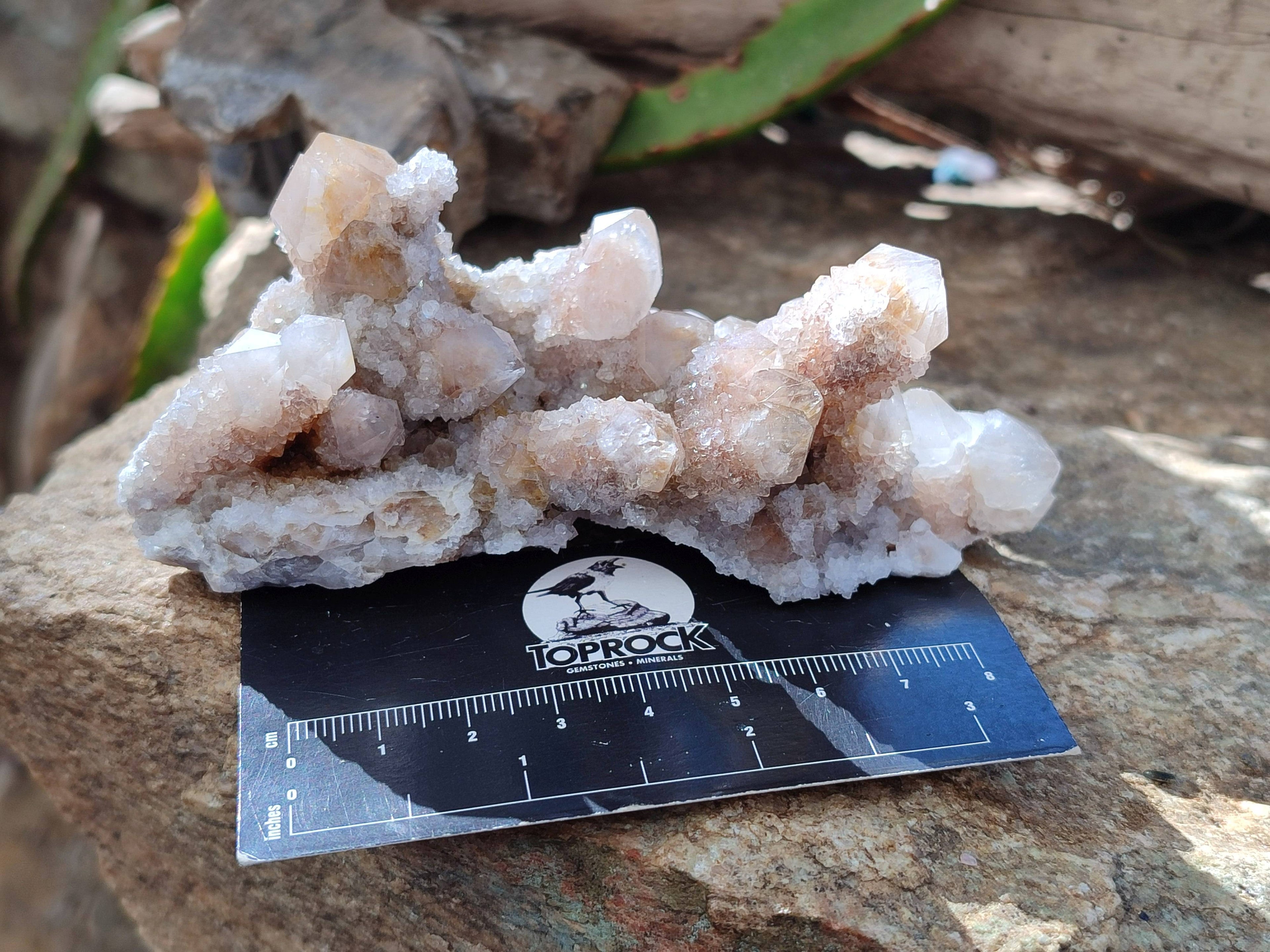 Natural Golden Limonite Coated Spirit Quartz Clusters x 6 From Boekenhouthoek, South Africa - Toprock Gemstones and Minerals 