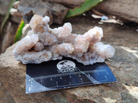 Natural Golden Limonite Coated Spirit Quartz Clusters x 6 From Boekenhouthoek, South Africa