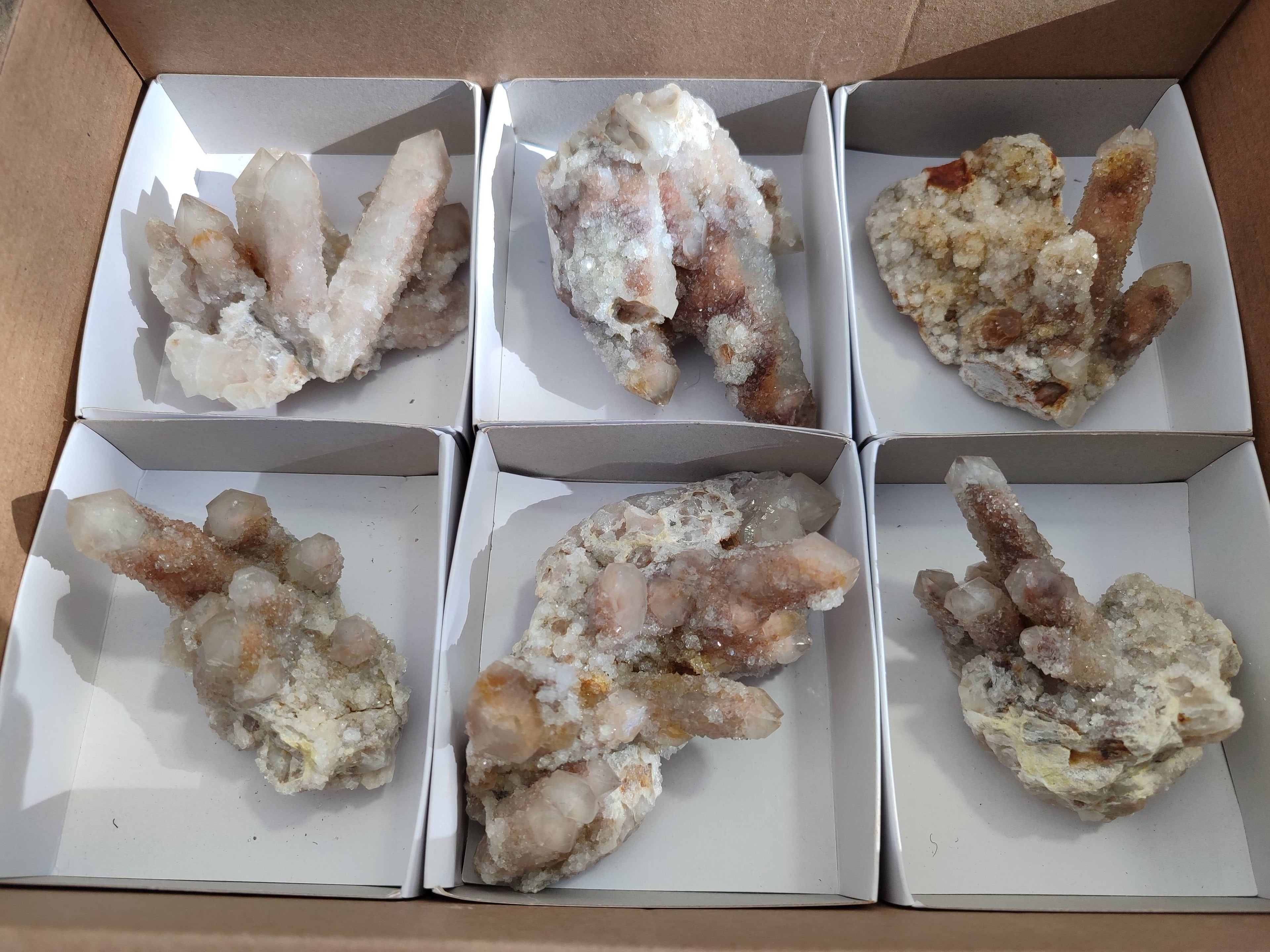 Natural Golden Limonite Coated Spirit Quartz Clusters x 6 From Boekenhouthoek, South Africa - Toprock Gemstones and Minerals 