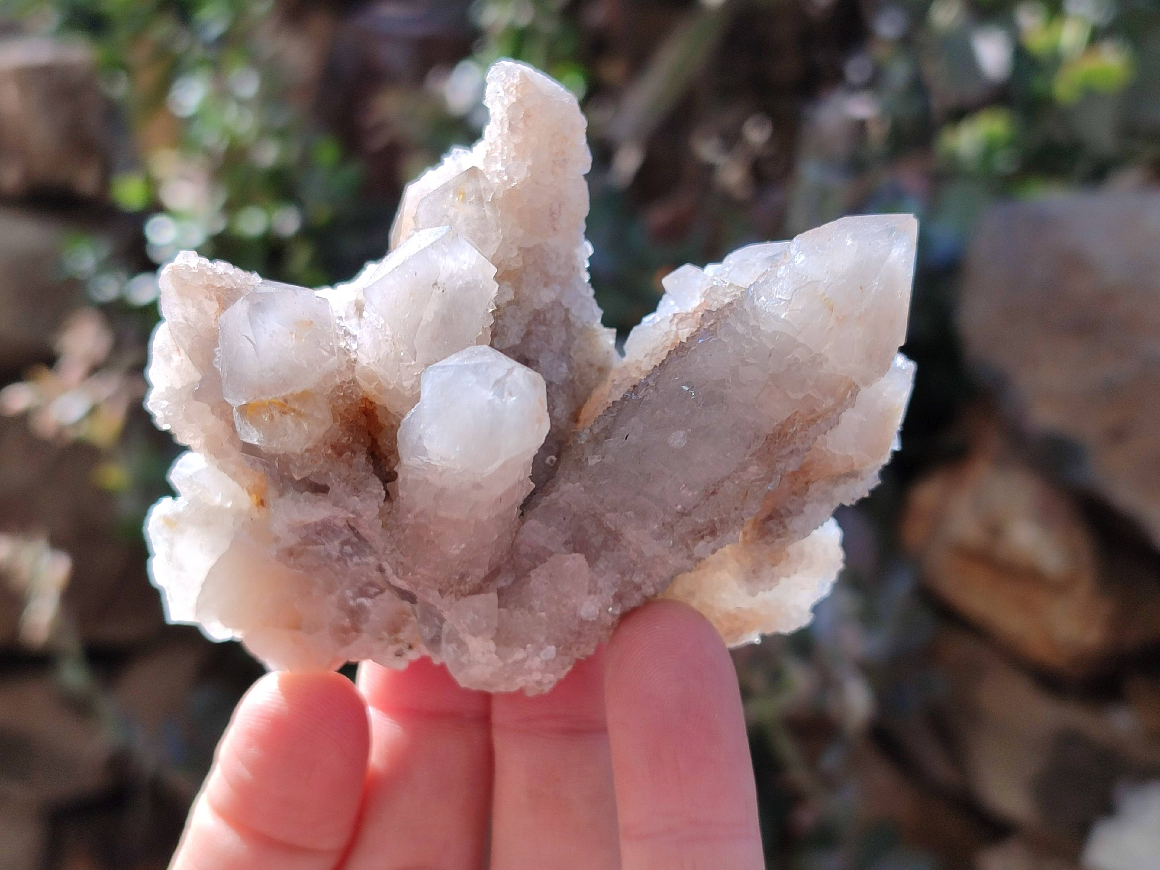 Natural Golden Limonite Coated Spirit Quartz Clusters x 6 From Boekenhouthoek, South Africa - Toprock Gemstones and Minerals 