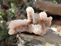 Natural Golden Limonite Coated Spirit Quartz Clusters x 6 From Boekenhouthoek, South Africa