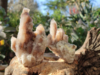 Natural Golden Limonite Coated Spirit Quartz Clusters x 6 From Boekenhouthoek, South Africa