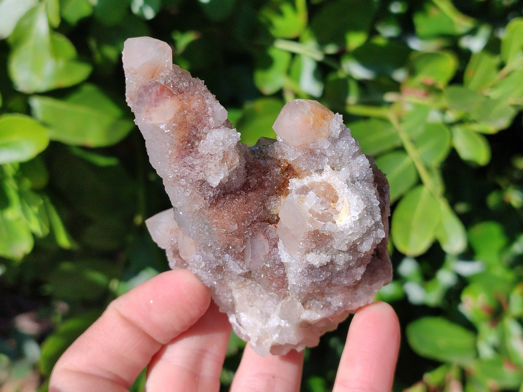 Natural Golden Limonite Coated Spirit Quartz Clusters x 6 From Boekenhouthoek, South Africa - Toprock Gemstones and Minerals 