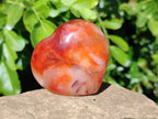 Polished Carnelian Agate Hearts x 6 From Madagascar - Toprock Gemstones and Minerals 