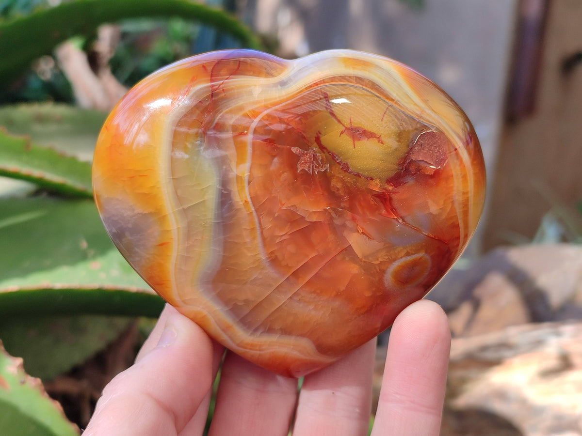 Polished Carnelian Agate Hearts x 6 From Madagascar - Toprock Gemstones and Minerals 