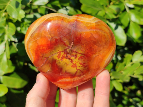Polished Carnelian Agate Hearts x 6 From Madagascar