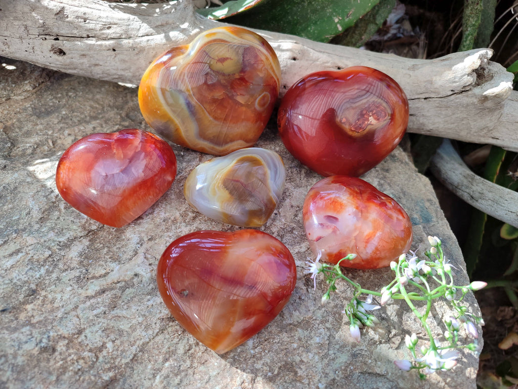 Polished Carnelian Agate Hearts x 6 From Madagascar - Toprock Gemstones and Minerals 