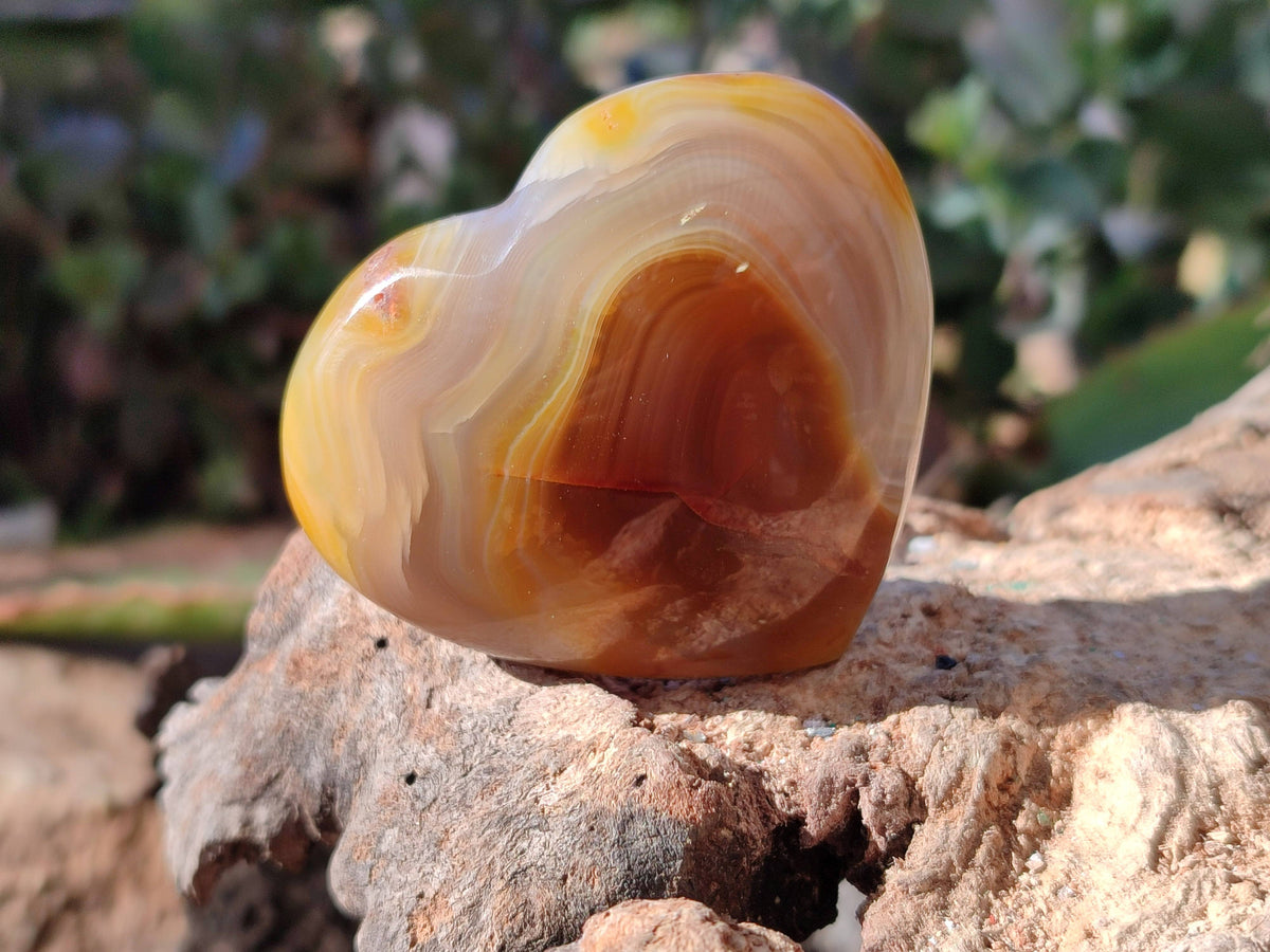 Polished Carnelian Agate Hearts x 6 From Madagascar - Toprock Gemstones and Minerals 