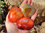 Polished Carnelian Agate Hearts x 6 From Madagascar - Toprock Gemstones and Minerals 