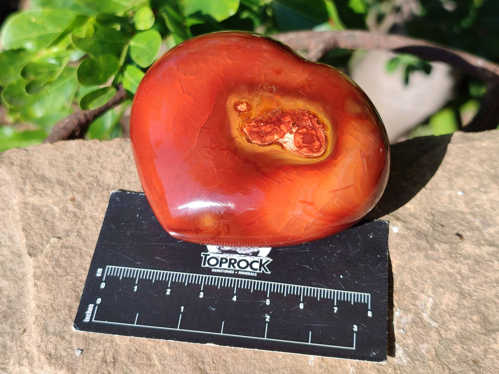 Polished Carnelian Agate Hearts x 6 From Madagascar - Toprock Gemstones and Minerals 