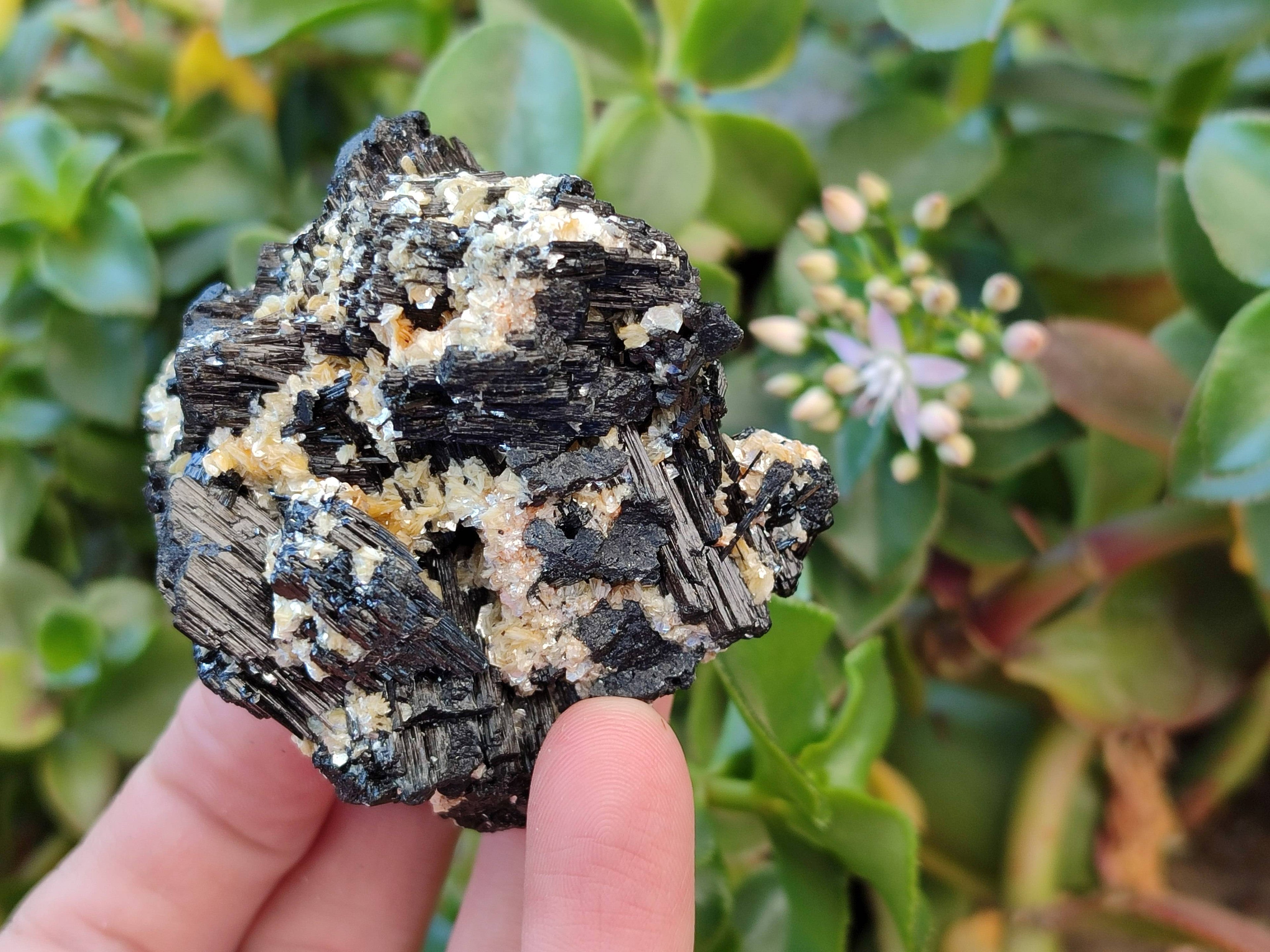 Natural Schorl Black Tourmaline Specimens x 12 From Erongo, Namibia - Toprock Gemstones and Minerals 