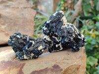 Natural Schorl Black Tourmaline Specimens x 12 From Erongo, Namibia