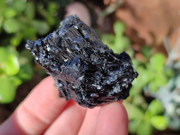 Natural Schorl Black Tourmaline Specimens x 12 From Erongo, Namibia
