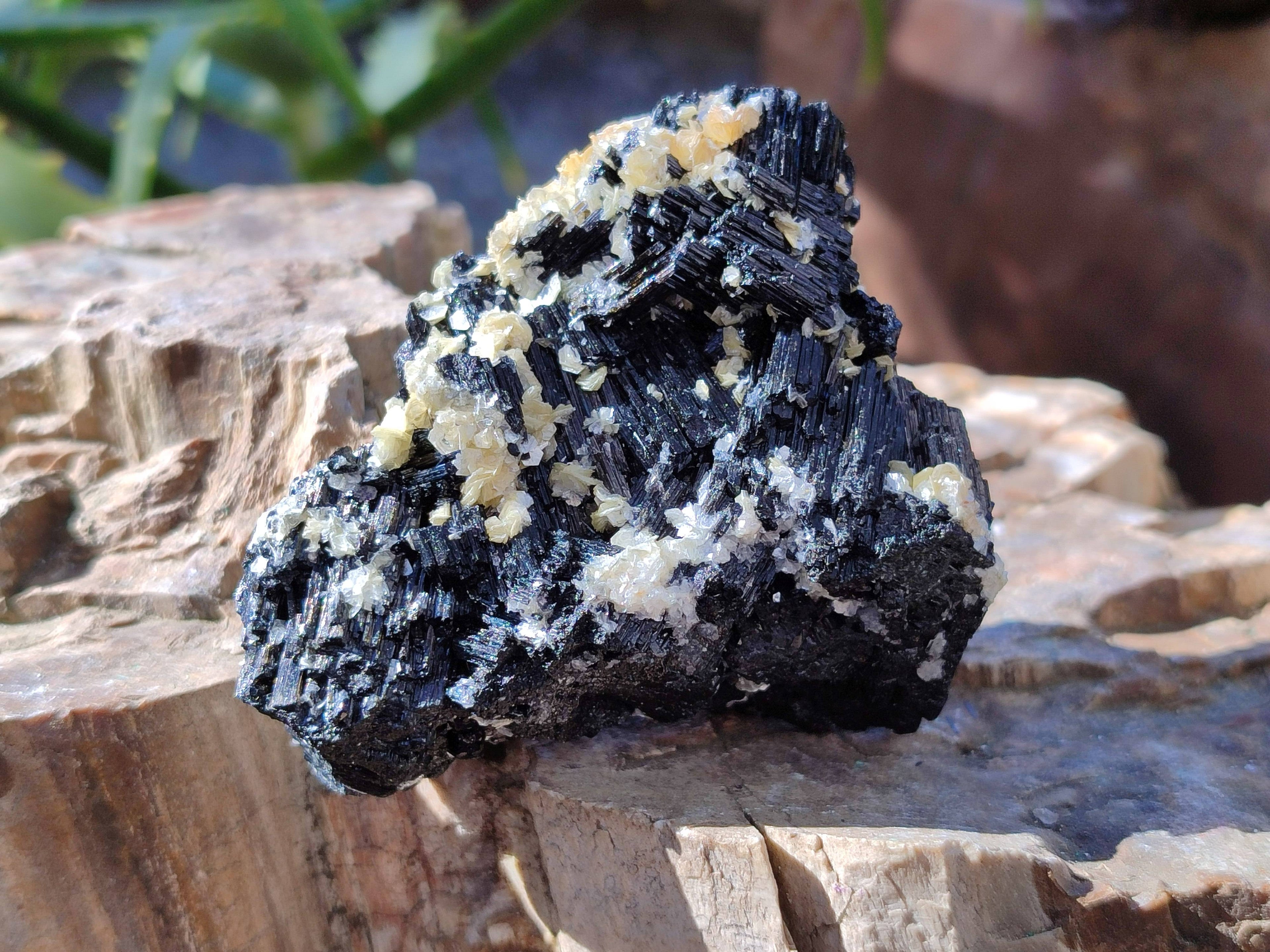 Natural Schorl Black Tourmaline Specimens x 12 From Erongo, Namibia - Toprock Gemstones and Minerals 