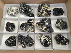 Natural Schorl Black Tourmaline Specimens x 12 From Erongo, Namibia - Toprock Gemstones and Minerals 