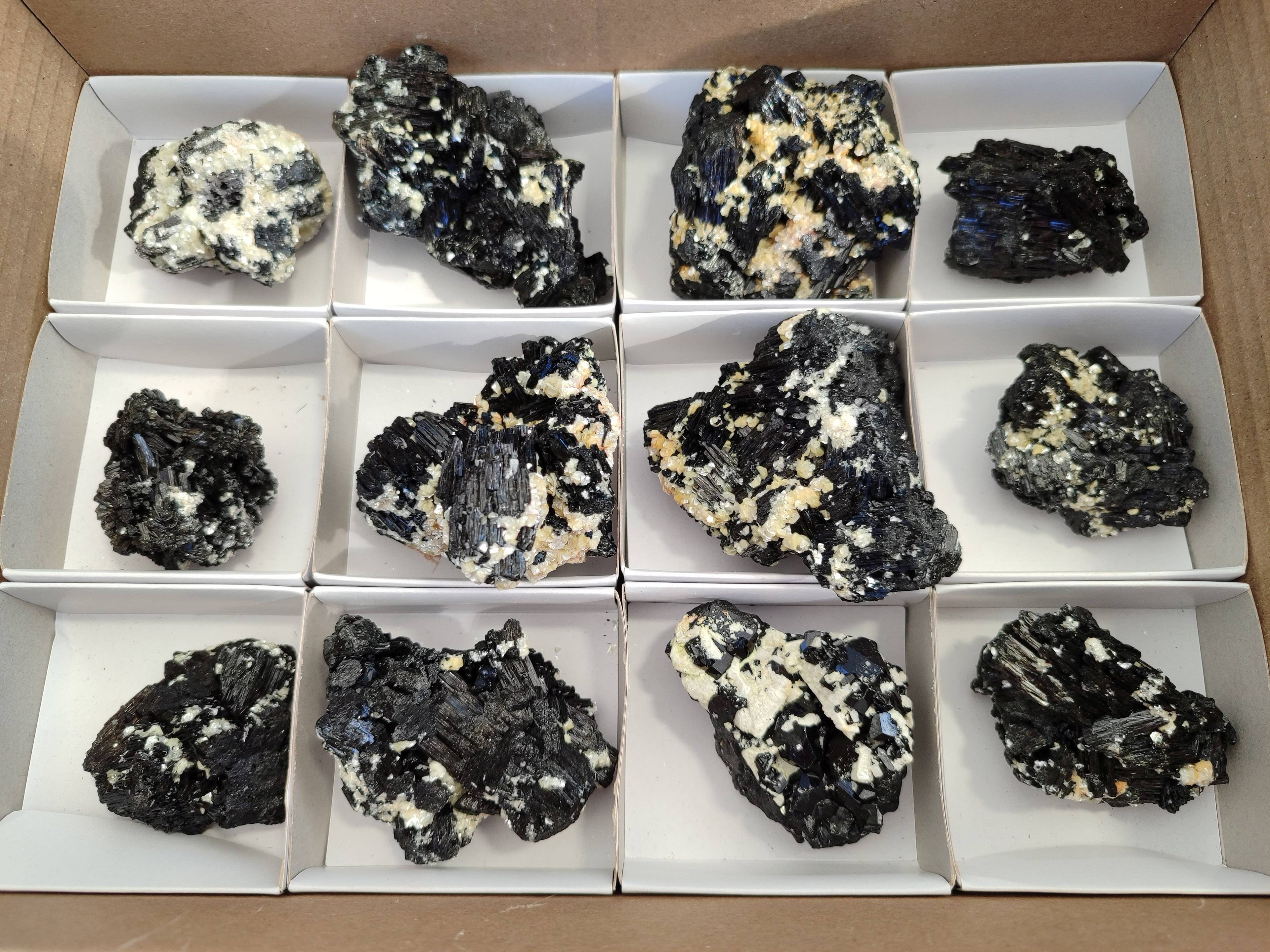 Natural Schorl Black Tourmaline Specimens x 12 From Erongo, Namibia - Toprock Gemstones and Minerals 