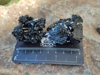 Natural Schorl Black Tourmaline Specimens x 12 From Erongo, Namibia