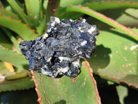 Natural Schorl Black Tourmaline Specimens x 12 From Erongo, Namibia