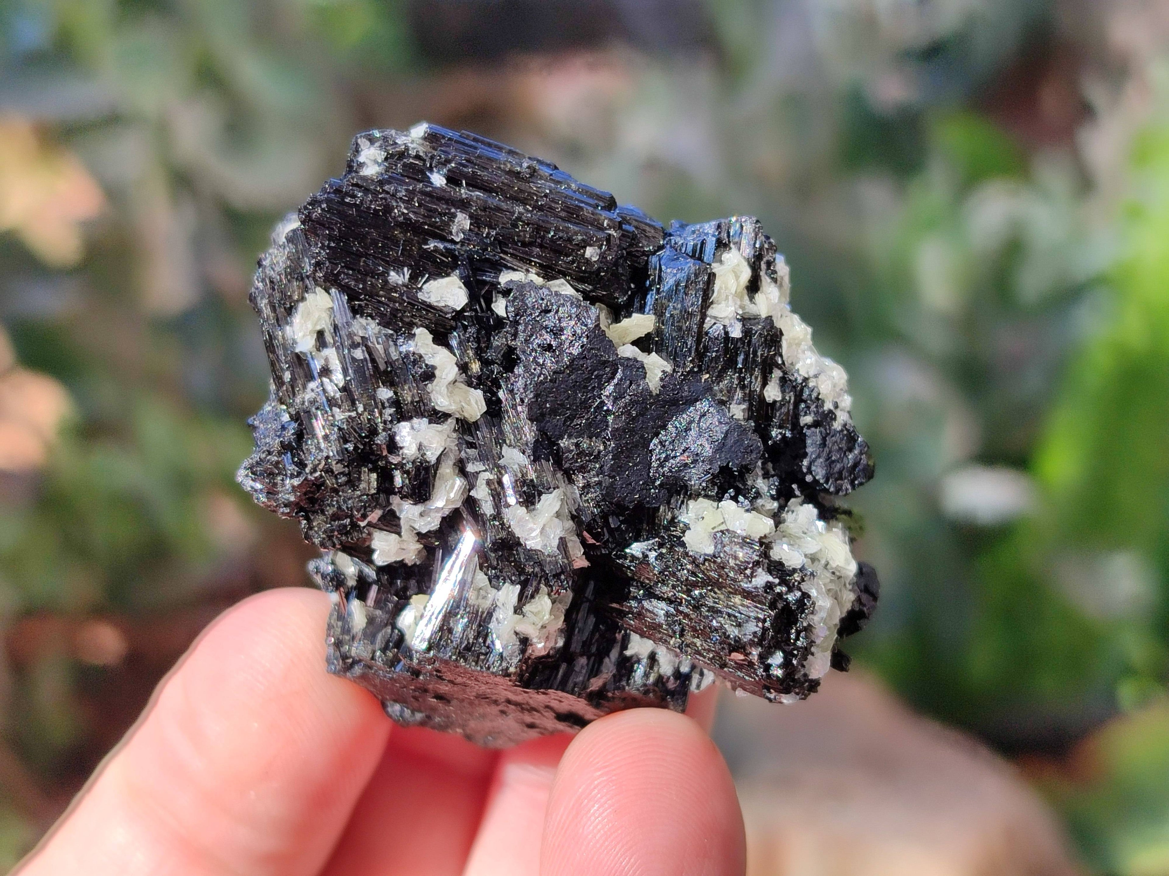 Natural Schorl Black Tourmaline Specimens x 12 From Erongo, Namibia - Toprock Gemstones and Minerals 