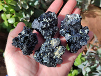 Natural Schorl Black Tourmaline Specimens x 12 From Erongo, Namibia