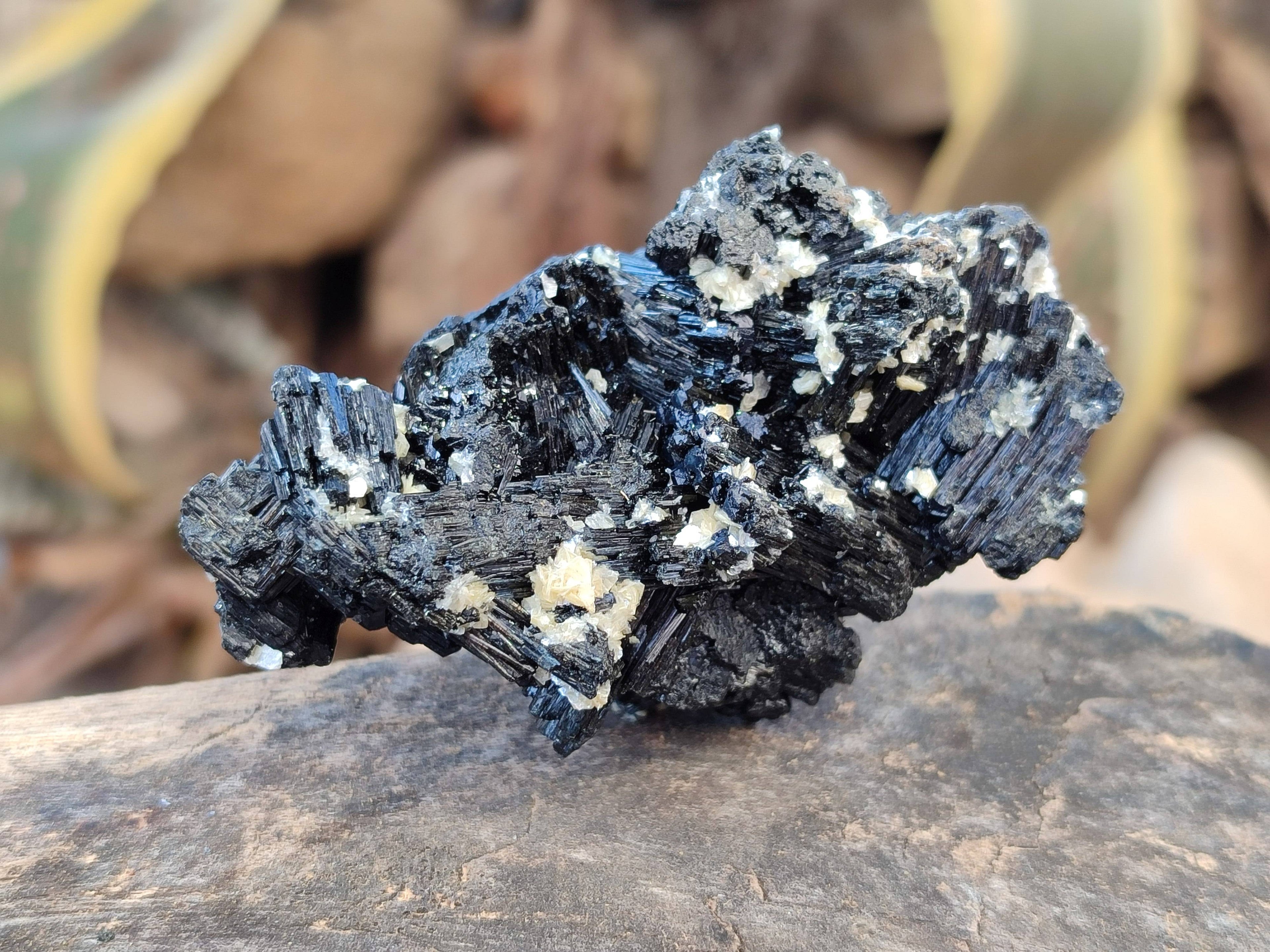 Natural Schorl Black Tourmaline Specimens x 12 From Erongo, Namibia - Toprock Gemstones and Minerals 