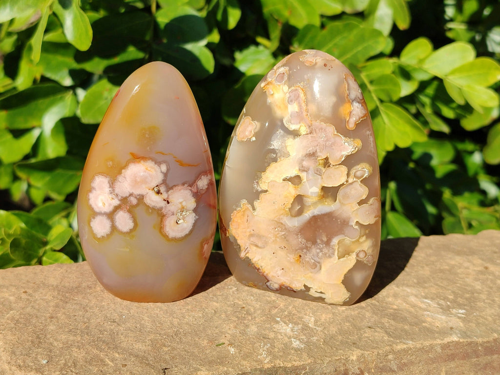 Polished Fossil Flower Agate Standing Free Forms x 6 From Antsahalova, Madagascar - Toprock Gemstones and Minerals 