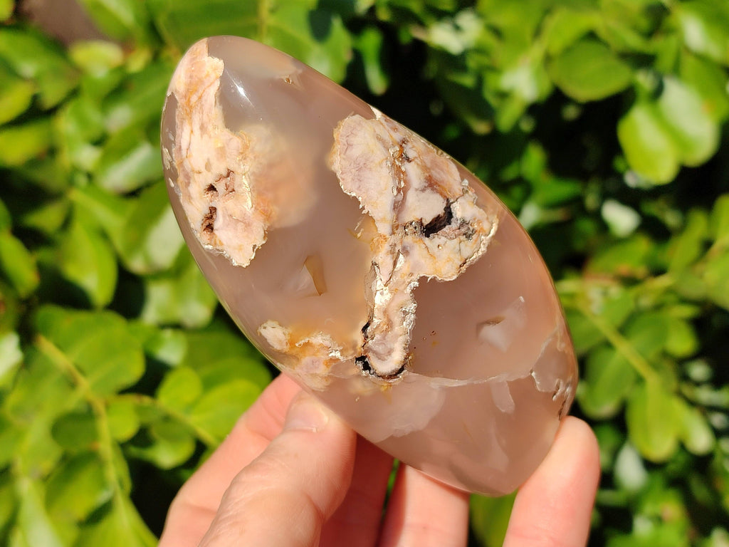 Polished Fossil Flower Agate Standing Free Forms x 6 From Antsahalova, Madagascar - Toprock Gemstones and Minerals 