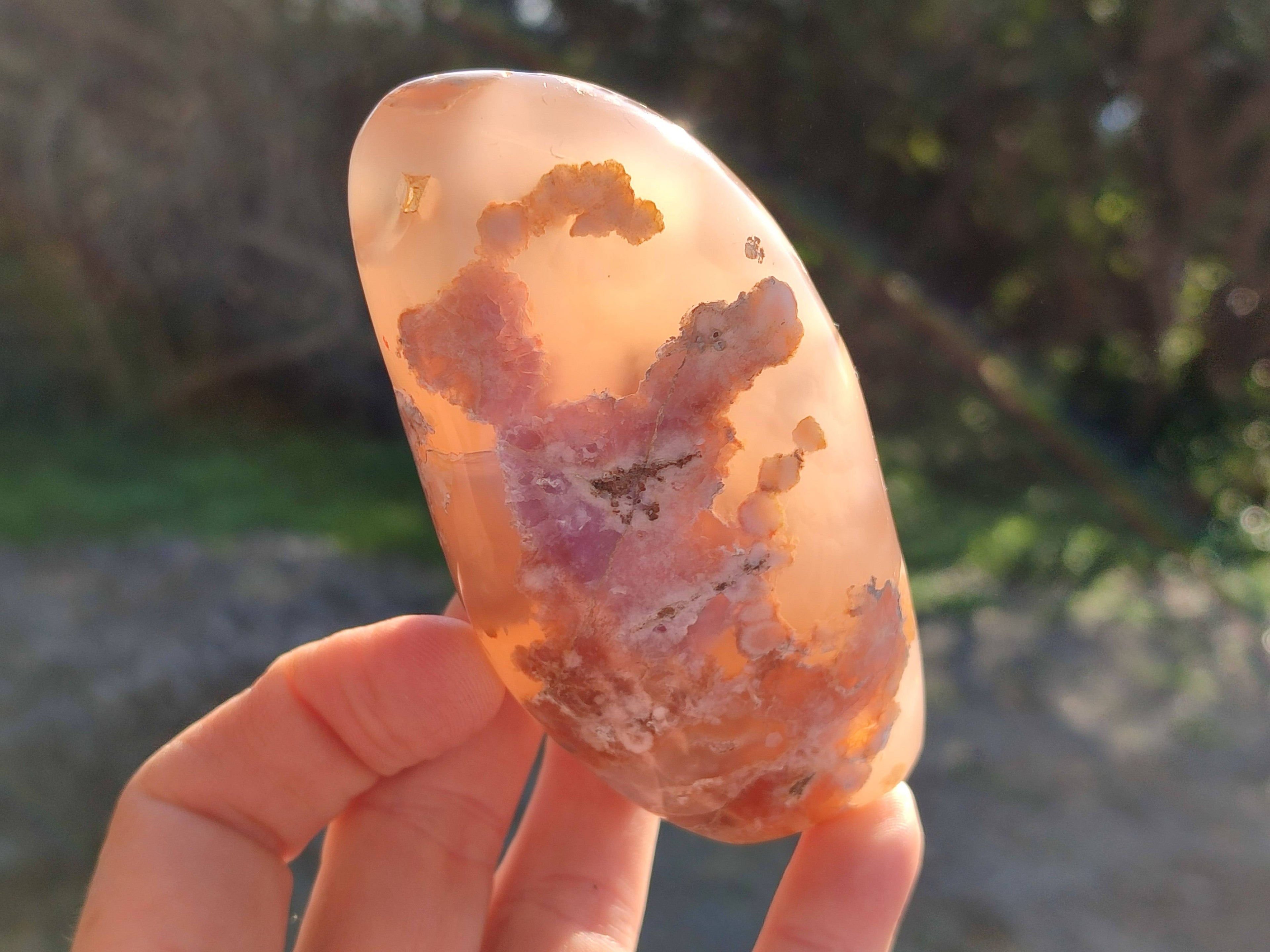 Polished Fossil Flower Agate Standing Free Forms x 6 From Antsahalova, Madagascar - Toprock Gemstones and Minerals 