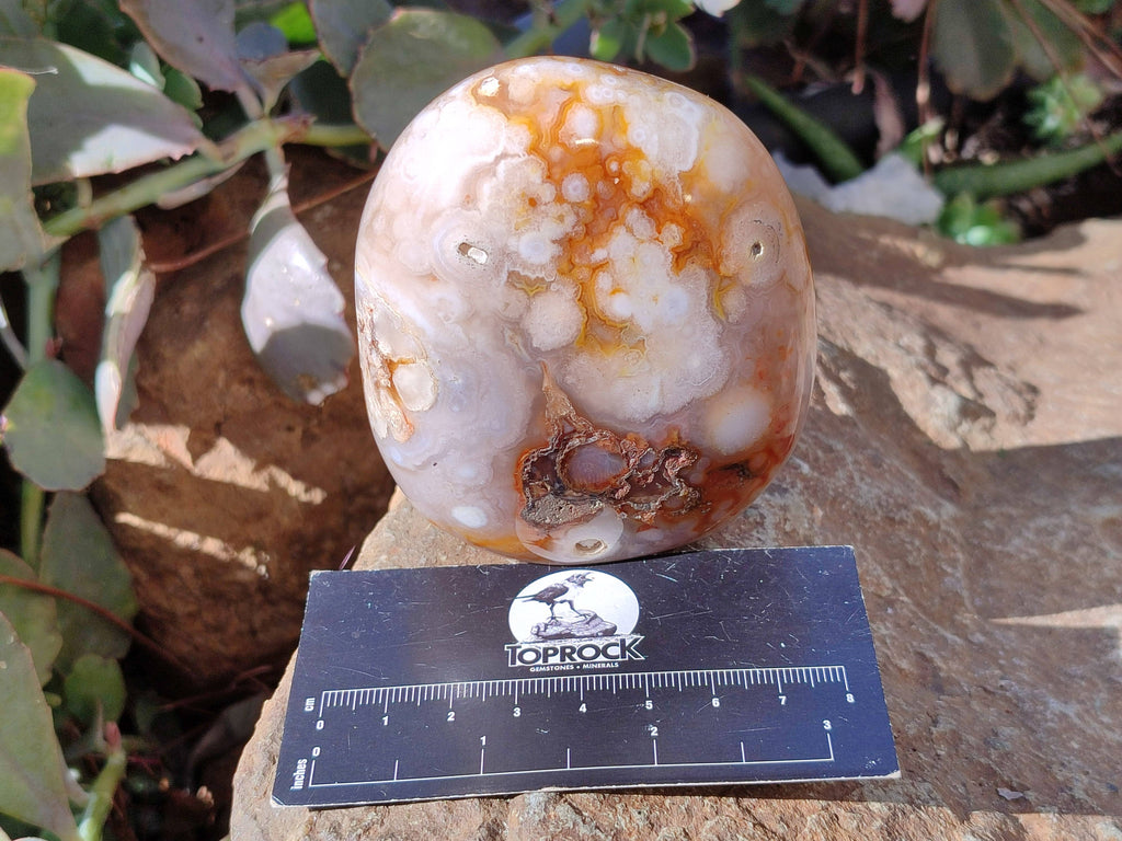 Polished Fossil Flower Agate Standing Free Forms x 6 From Antsahalova, Madagascar - Toprock Gemstones and Minerals 
