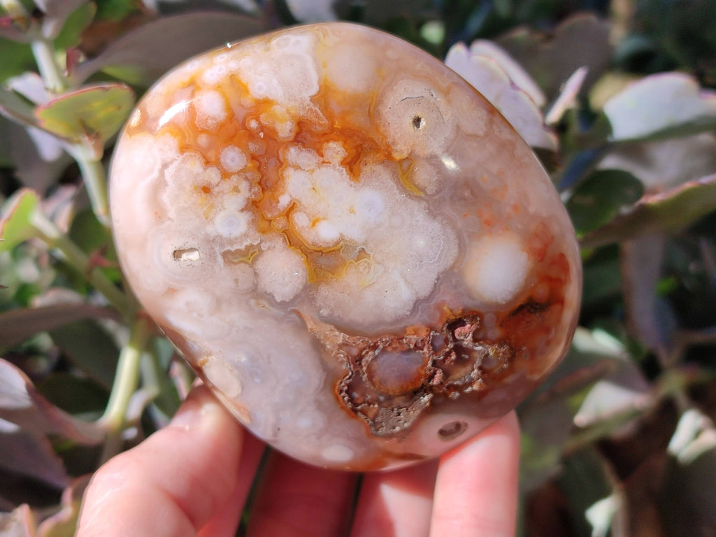 Polished Fossil Flower Agate Standing Free Forms x 6 From Antsahalova, Madagascar - Toprock Gemstones and Minerals 