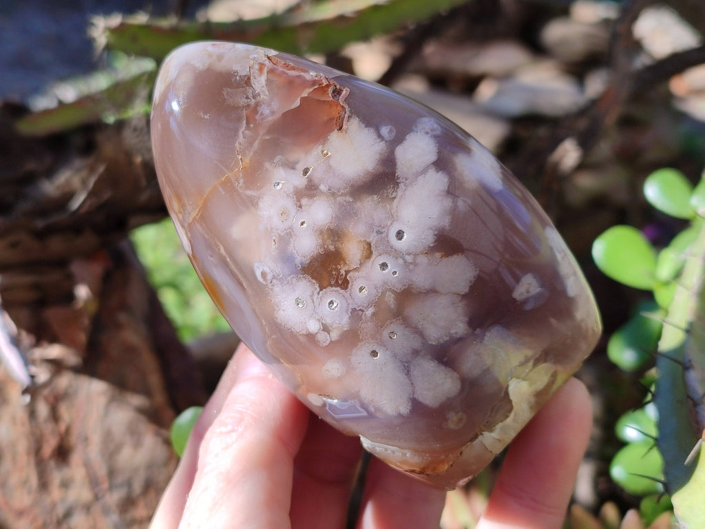 Polished Fossil Flower Agate Standing Free Forms x 6 From Antsahalova, Madagascar - Toprock Gemstones and Minerals 
