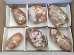 Polished Fossil Flower Agate Standing Free Forms x 6 From Antsahalova, Madagascar - Toprock Gemstones and Minerals 