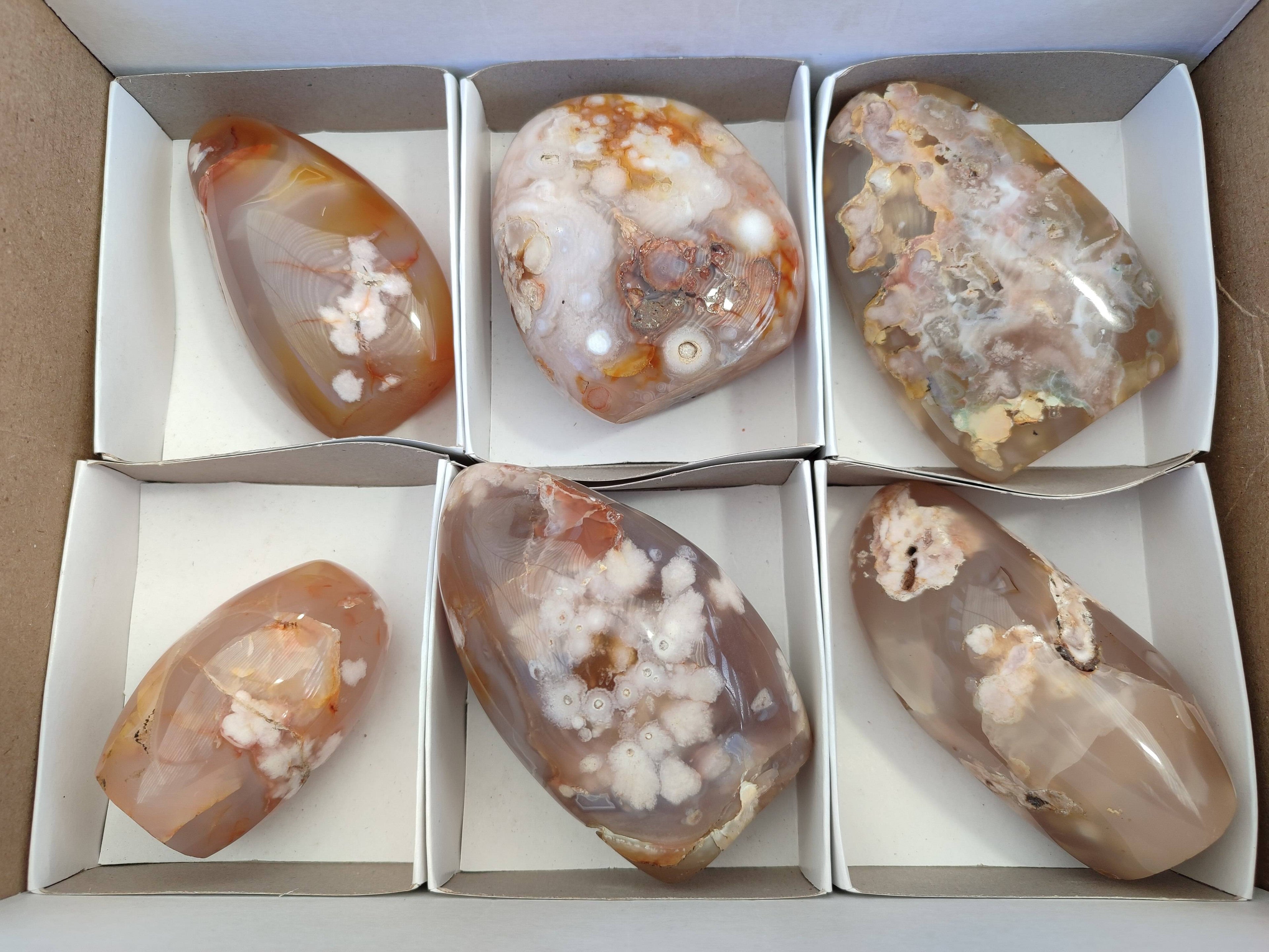 Polished Fossil Flower Agate Standing Free Forms x 6 From Antsahalova, Madagascar - Toprock Gemstones and Minerals 
