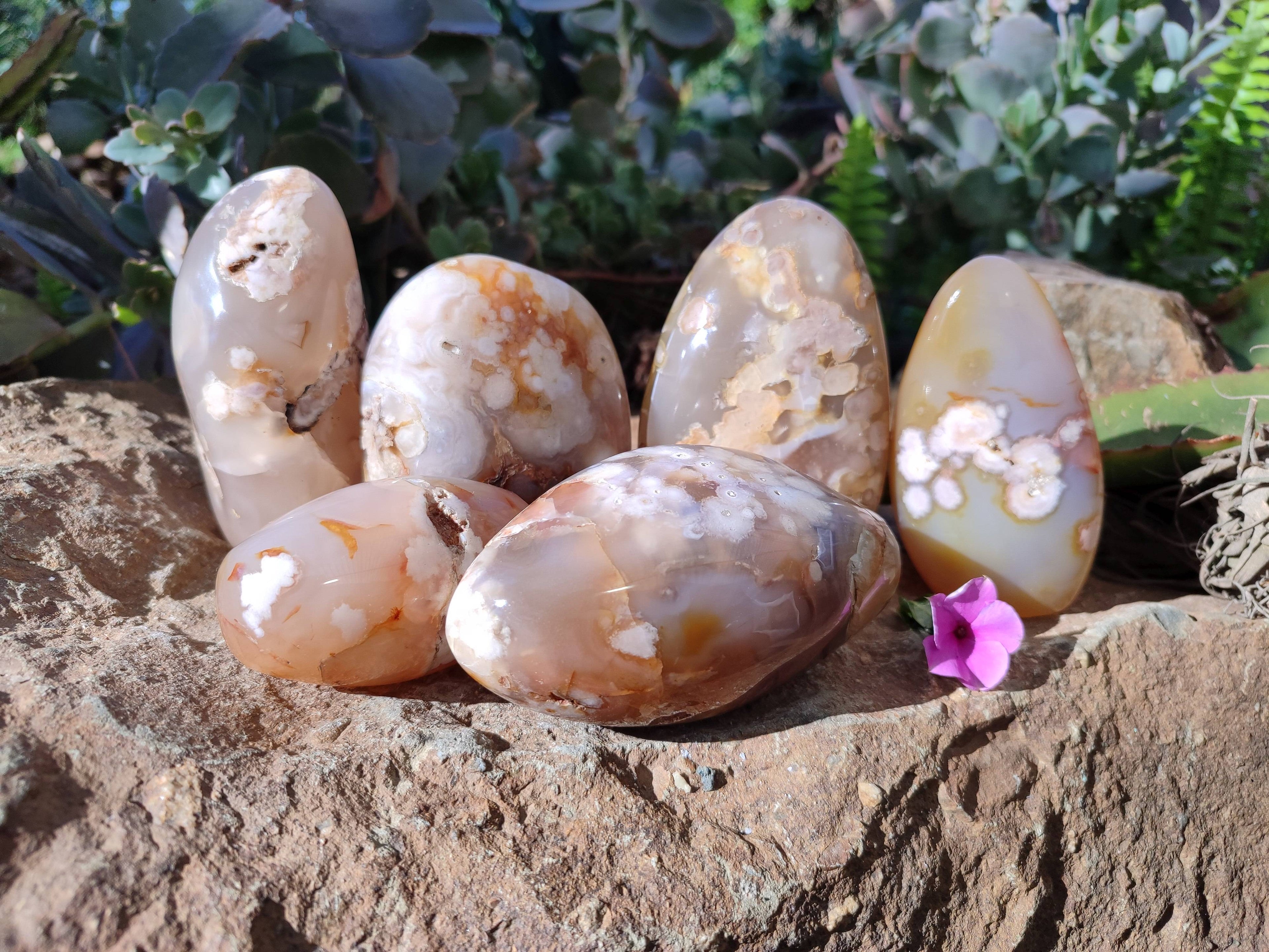 Polished Fossil Flower Agate Standing Free Forms x 6 From Antsahalova, Madagascar - Toprock Gemstones and Minerals 