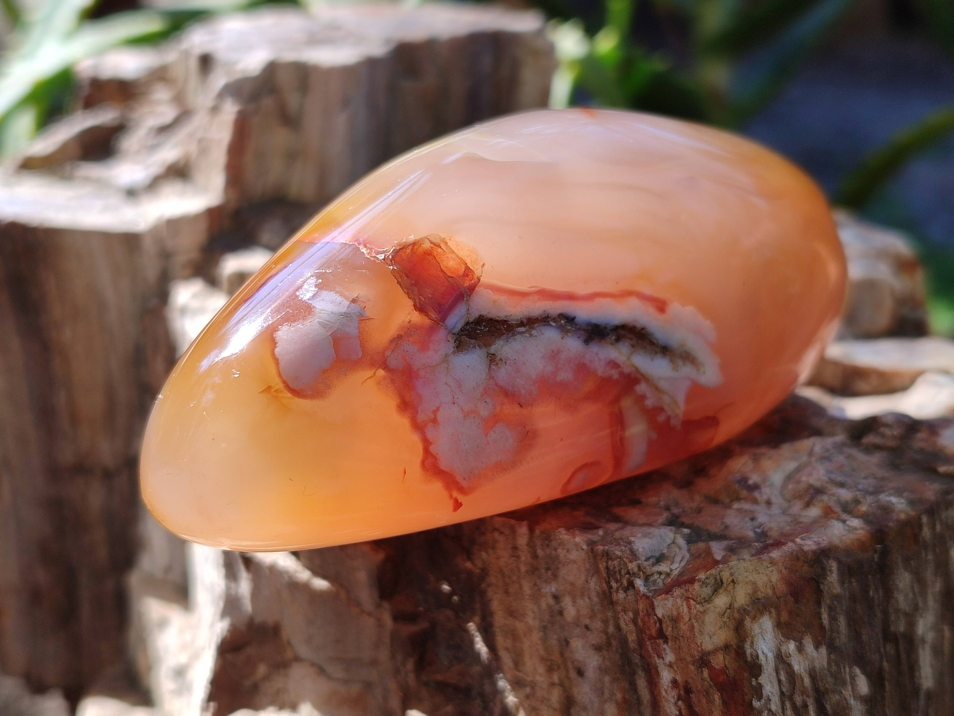 Polished Fossil Flower Agate Standing Free Forms x 6 From Antsahalova, Madagascar - Toprock Gemstones and Minerals 