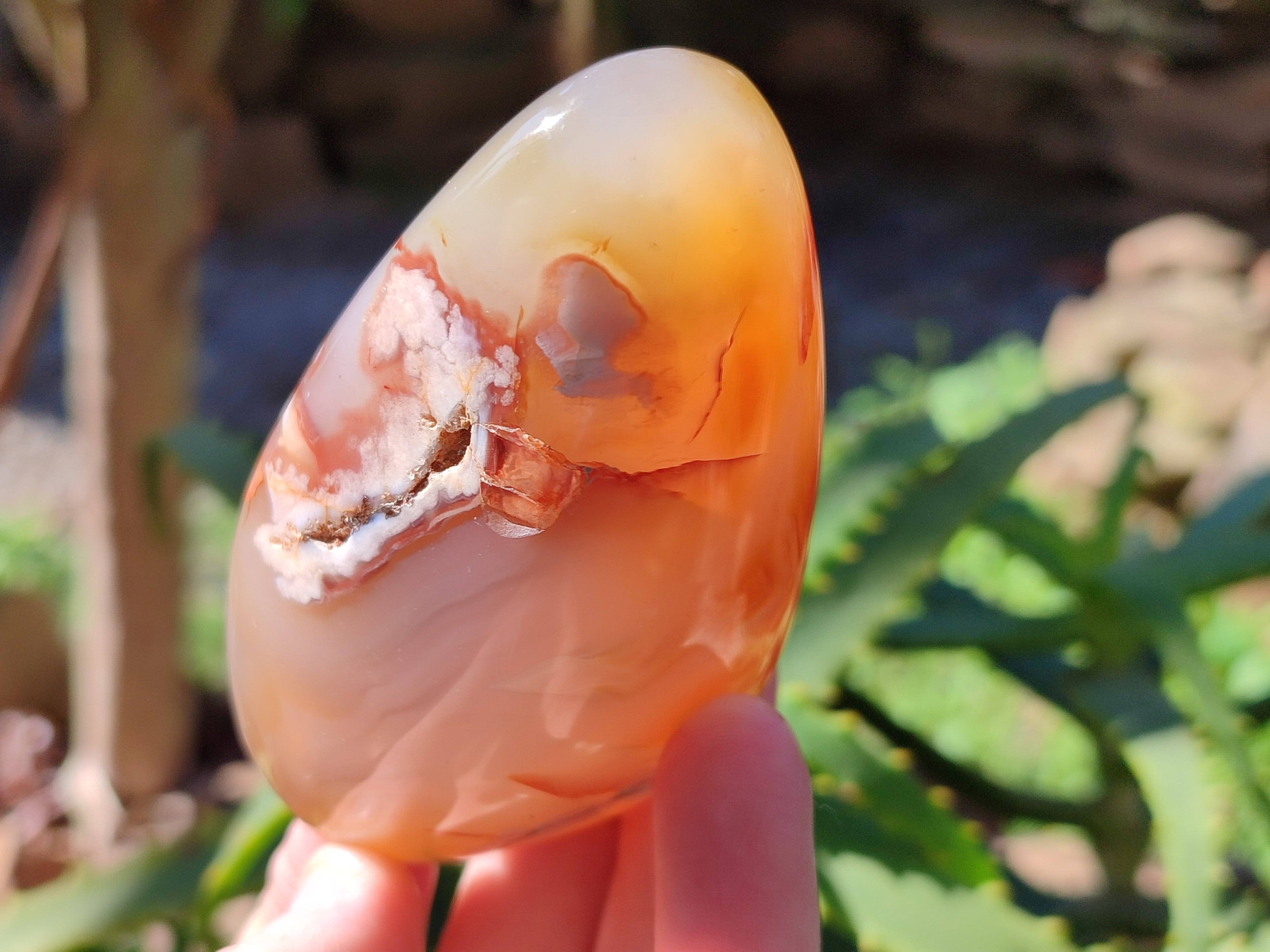 Polished Fossil Flower Agate Standing Free Forms x 6 From Antsahalova, Madagascar - Toprock Gemstones and Minerals 
