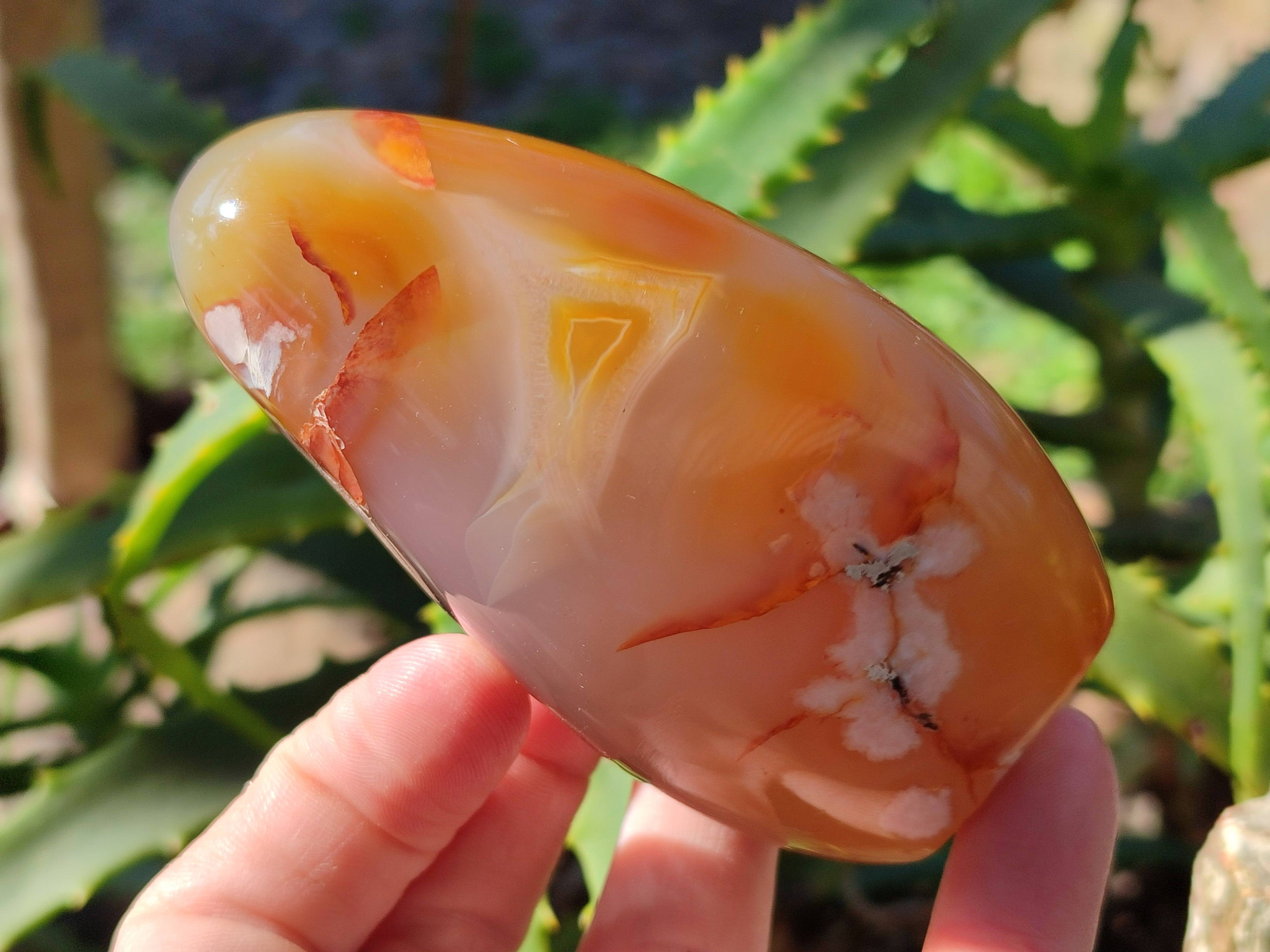 Polished Fossil Flower Agate Standing Free Forms x 6 From Antsahalova, Madagascar - Toprock Gemstones and Minerals 