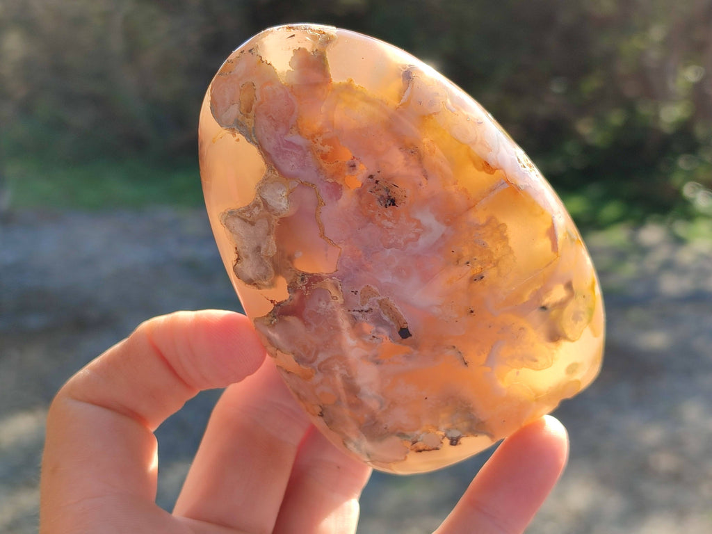 Polished Fossil Flower Agate Standing Free Forms x 6 From Antsahalova, Madagascar - Toprock Gemstones and Minerals 