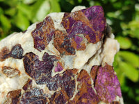Natural Metallic Purpurite Cobbed Specimens x 3 From Erongo, Namibia