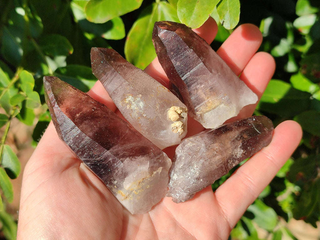 Natural Smokey Amethyst Crystals x 12 From Brandberg, Namibia - Toprock Gemstones and Minerals 