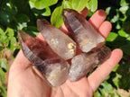 Natural Smokey Amethyst Crystals x 12 From Brandberg, Namibia - Toprock Gemstones and Minerals 