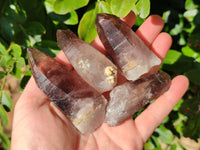 Natural Smokey Amethyst Crystals x 12 From Brandberg, Namibia