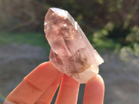 Natural Smokey Amethyst Crystals x 12 From Brandberg, Namibia