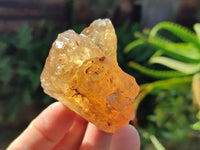 Natural Honey Aragonite Etched Pieces x 35 From Namibia