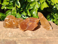 Natural Honey Aragonite Etched Pieces x 35 From Namibia
