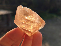 Natural Honey Aragonite Etched Pieces x 35 From Namibia