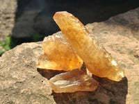 Natural Honey Aragonite Etched Pieces x 35 From Namibia